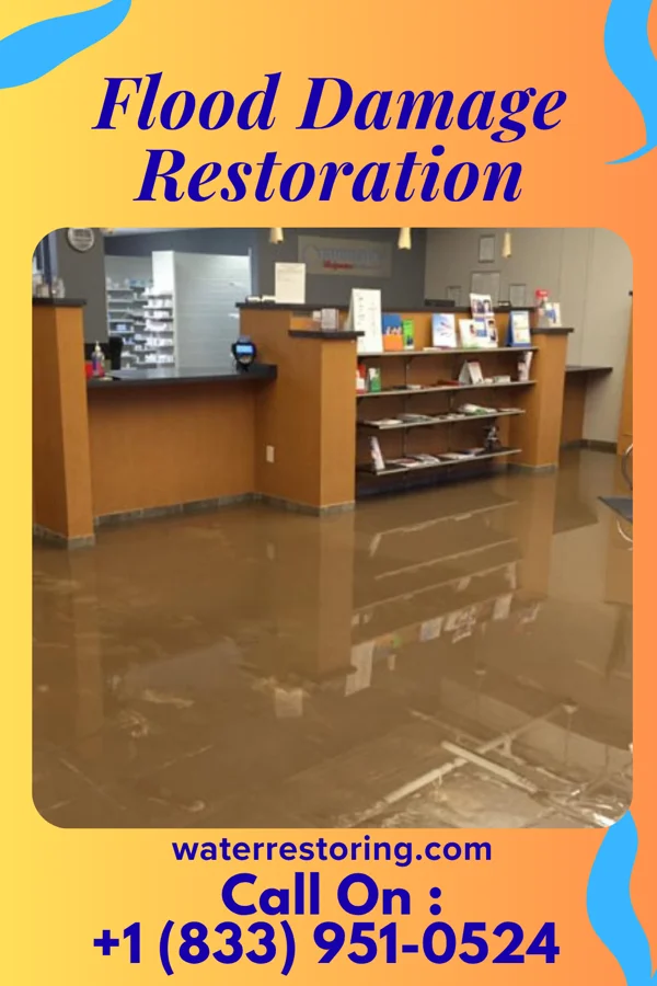 Flood Damage Restoration in Hanover, MN