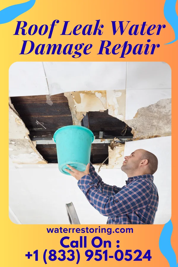 Roof Leak Water Damage Repair in Hanover, MN
