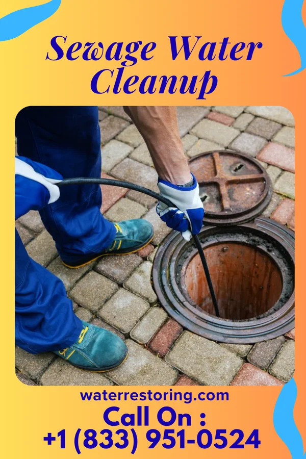 Sewage Water Cleanup in Hanover, MN